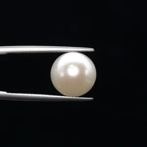 Pearl - 3597