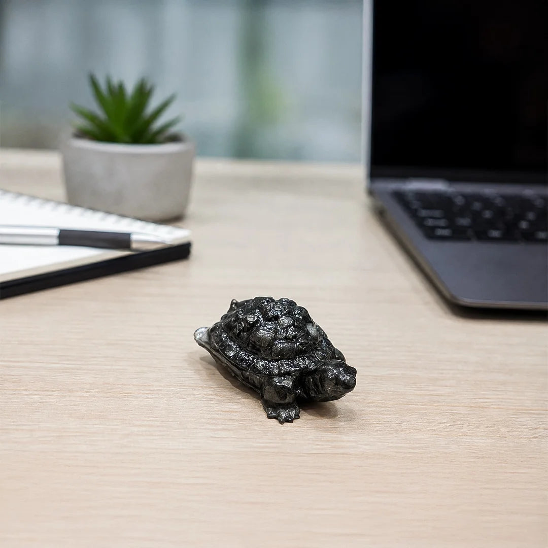 Pyrite Tortoise (Kachhua)