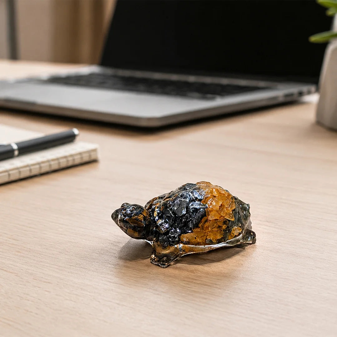 Dhanyog Tortoise (Kachhua)