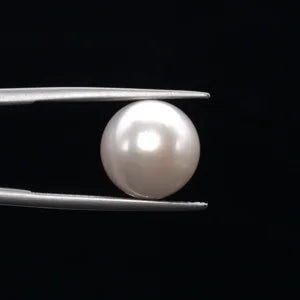 Pearl - 3579