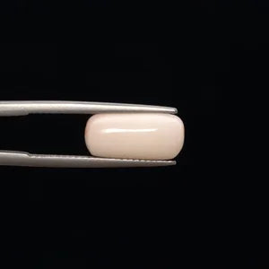 White Coral - 765