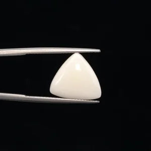 White Coral - 3245