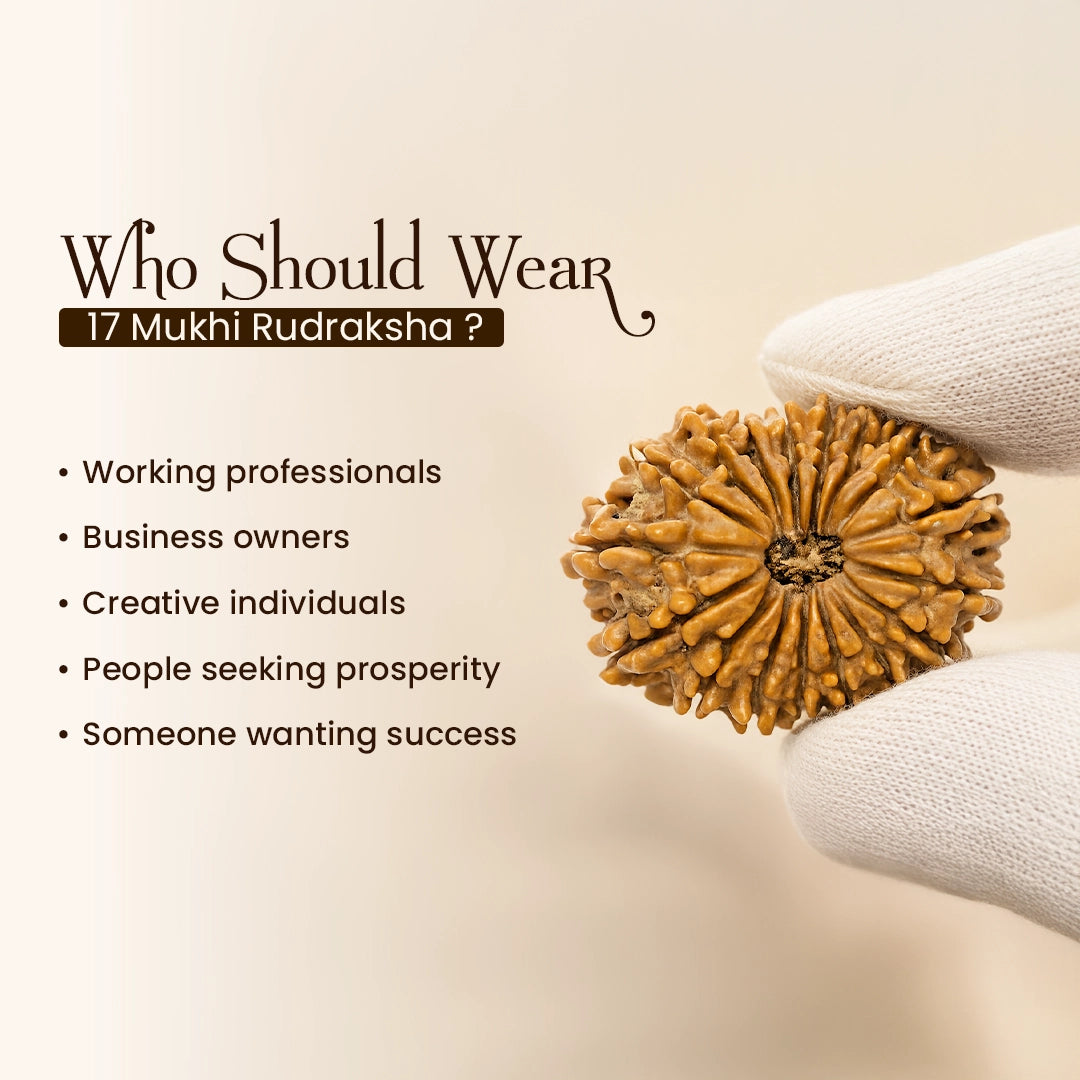 Energized 17 Mukhi Nepali Rudraksha