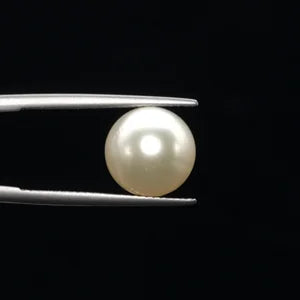 Pearl - 3600