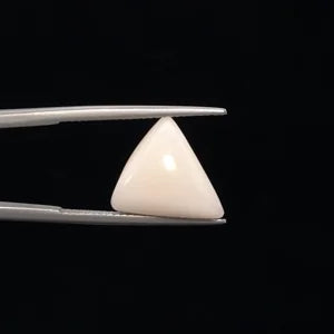 White Coral - 3232