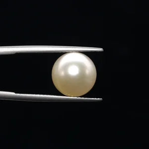 Pearl - 3593