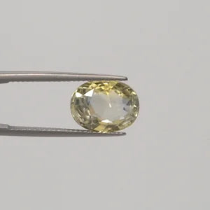 Pitambari Sapphire - 3108