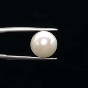 Pearl - 3601