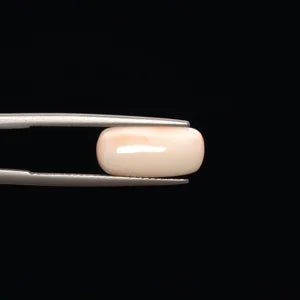 White Coral - 771