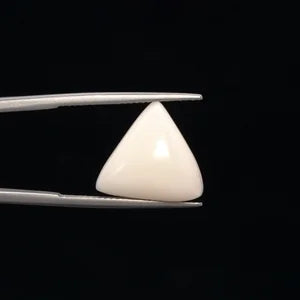 White Coral - 3236