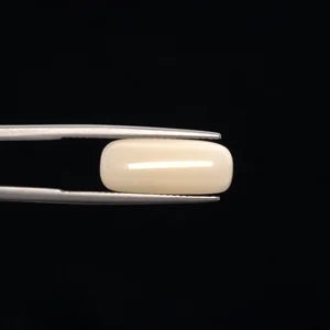 White Coral - 3270