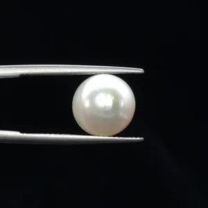 Pearl - 2731