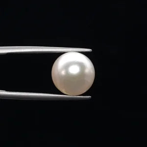 Pearl - 3621