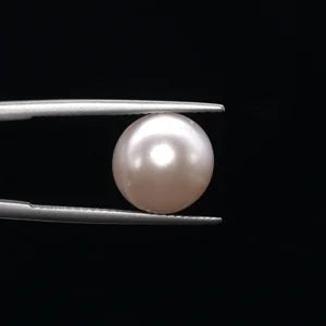 Pearl - 3605