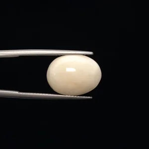 White Coral - 778