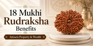 18 Mukhi Rudraksha Benefits: Attracts Property & Wealth