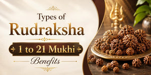 Types of Rudraksha: 1 to 21 Mukhi Benefits