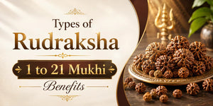 Types of Rudraksha: 1 to 21 Mukhi Benefits