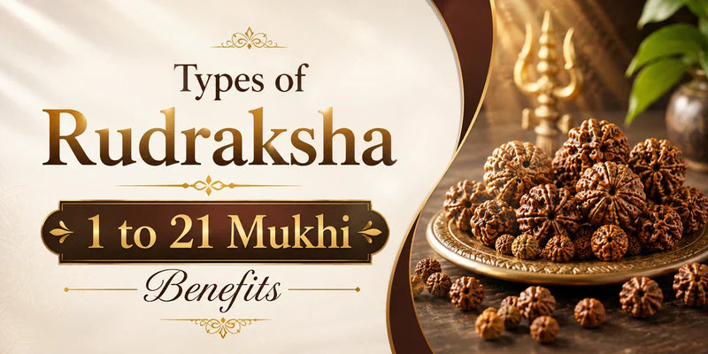 Types of Rudraksha: 1 to 21 Mukhi Benefits