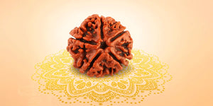 5 Mukhi Rudraksha: The Bead of Peace, Positivity & Spiritual Growth