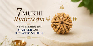 7 Mukhi Rudraksha: A divine remedy for career and relationships