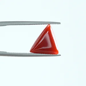 Natural Red Coral - 3.61ct
