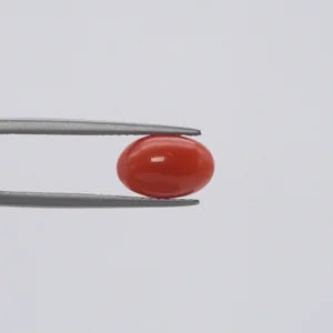Natural Red Coral - 2.72ct