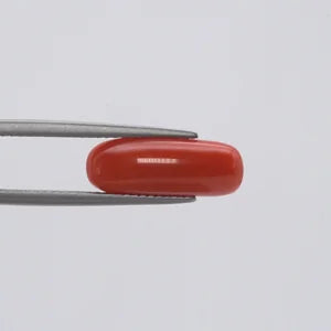 Natural Red Coral - 3.95ct