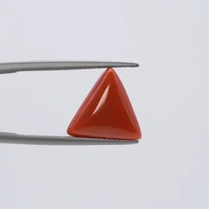 Natural Red Coral - 5.54ct
