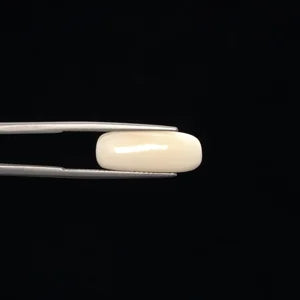Natural White Coral - 6.28ct