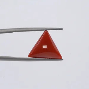Natural Red Coral - 4.84ct