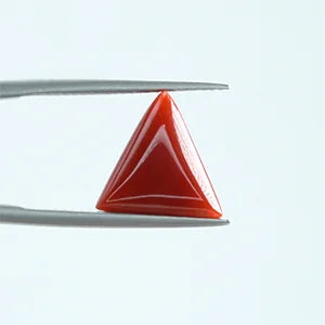 Natural Red Coral - 4.98ct