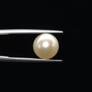 Pearl - 3594