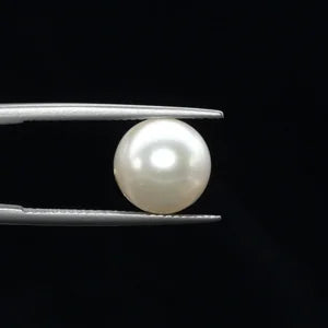 Pearl - 2732