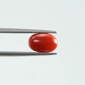 Natural Red Coral - 1.76ct