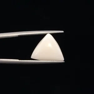 White Coral - 3242