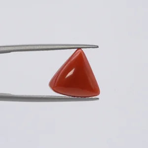 Natural Red Coral - 5.69ct