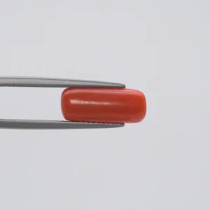 Natural Red Coral - 3.96ct