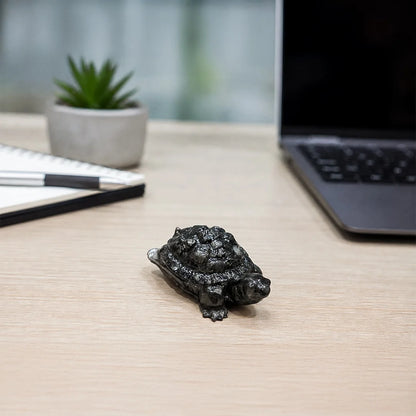 Pyrite Tortoise (Kachhua)