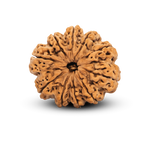 10 Mukhi