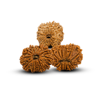14-20 Mukhi