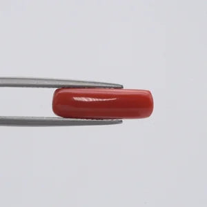 Natural Red Coral - 4.12ct
