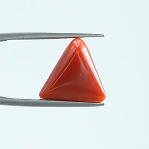 Natural Red Coral - 8.31ct