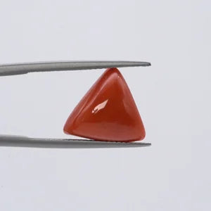 Natural Red Coral - 7.63ct