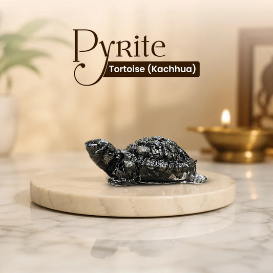 Pyrite Tortoise (Kachhua)