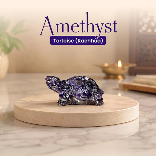 Amethyst Tortoise (Kachhua)
