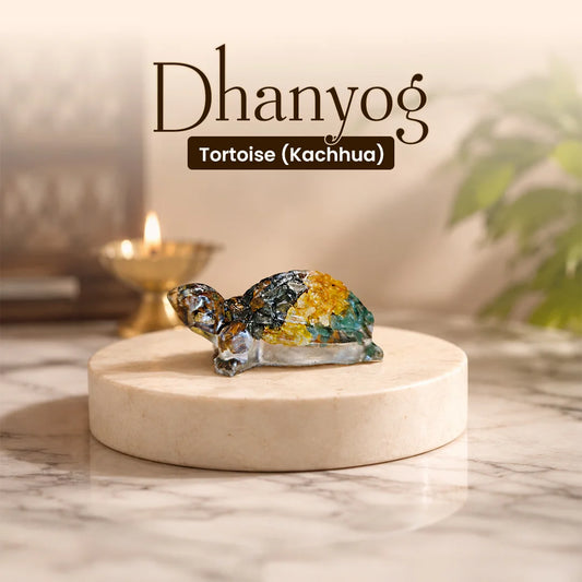Dhanyog Tortoise (Kachhua)