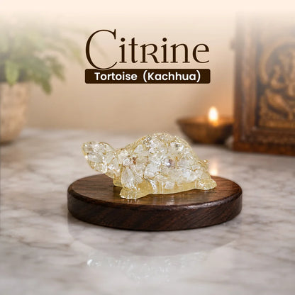 Citrine Tortoise (Kachhua)