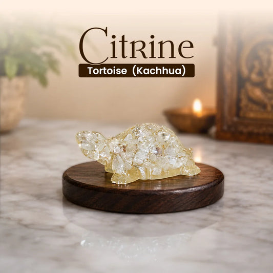 Citrine Tortoise (Kachhua)