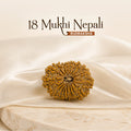 18 Mukhi Nepali Rudraksha